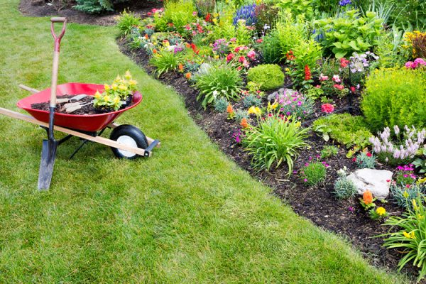 Spring-Yard-Clean-Up-main