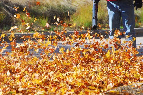 fall-winter-cleanup-broken-arrow-01